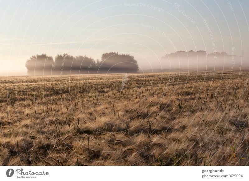 Frühpoel auf Nebel Insel - I Wellness Leben Sauna Dampfbad Ferien & Urlaub & Reisen Ausflug Abenteuer Ferne Freiheit Sommer Strand Meer Umwelt Natur Landschaft