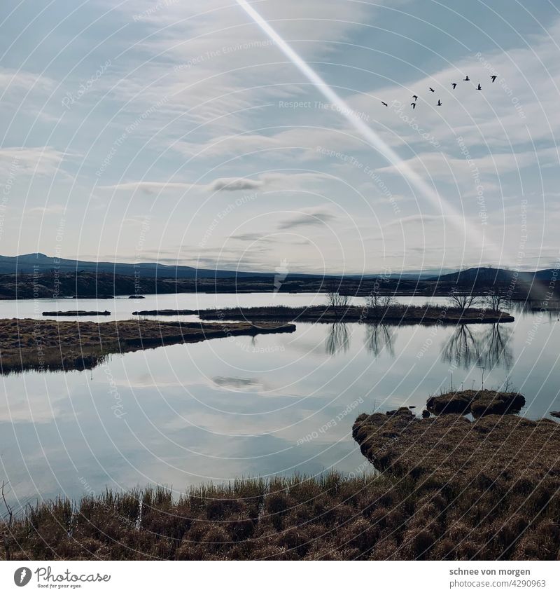 Lichtphänomen der Ruhe sonne island Pingvellir vögel ruhe wolken natur Himmel Landschaft Sonne Island Außenaufnahme Vogel blau Farbfoto Umwelt Küste Wasser see