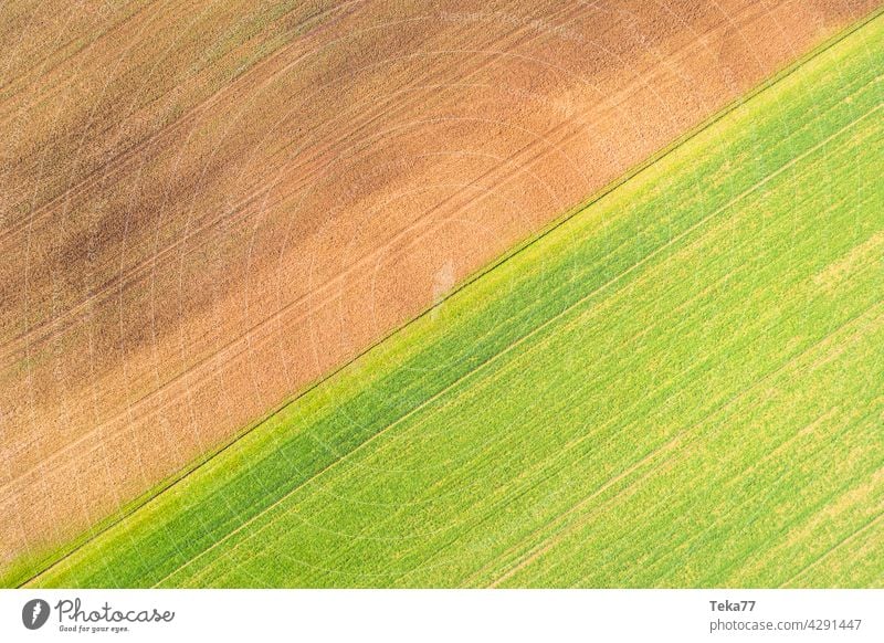 Die Felder Landwirtschaft grün erde Feld von oben Ackerbau Ackerland zwei grenze essen pflanzen lebensmittel