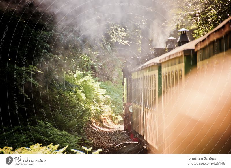 Rasender Roland Umwelt Sonne Verkehr Personenverkehr Bahnfahren alt Eisenbahn Eisenbahnwaggon Rügen historisch Rauch Reisefotografie Ferien & Urlaub & Reisen