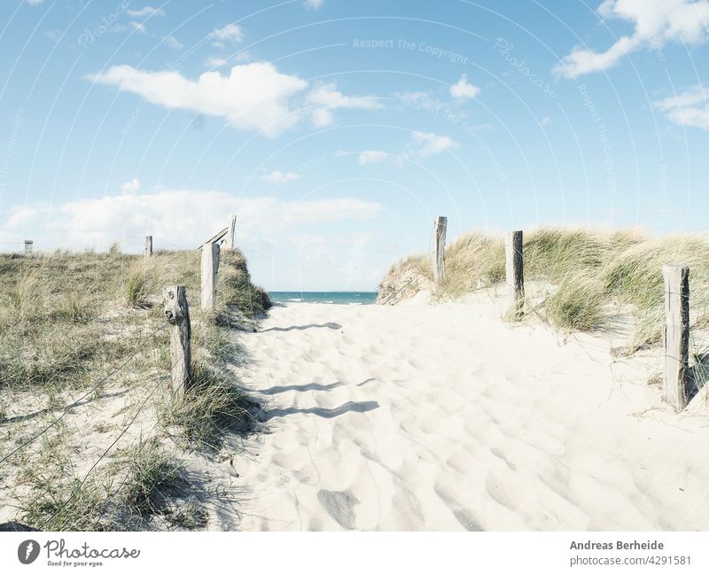 Weg zum Strand, Ostsee Deutschland Hintergrund baltisch Strandrasen schön blau Brise Küste wüst trocknen Düne Dunes Europa Zaun Wald Gras grün Gesundheit