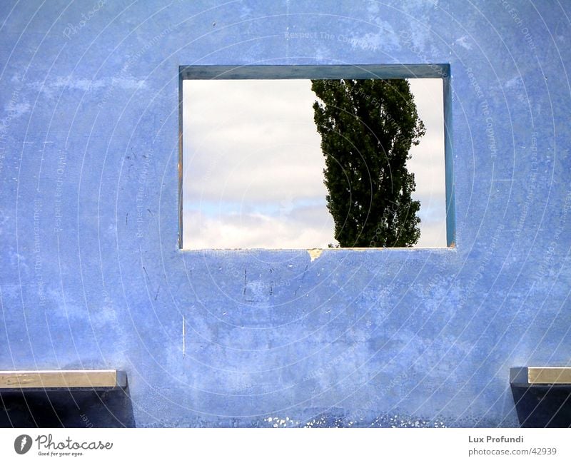 blaue Wand Baum Fenster Kunst Hannover Betonwand Kunstwerk Architektur modern Weltausstellung blue Mauer