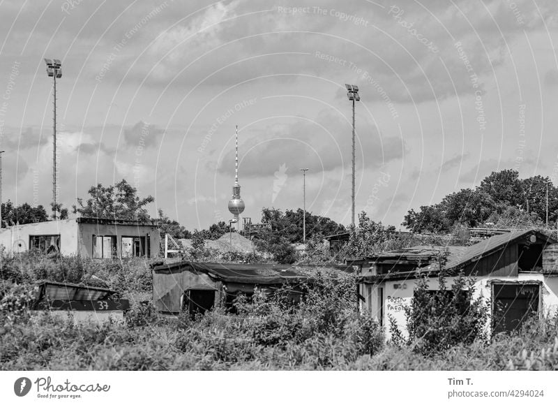 eine geräumte Gartenanlage im Hintergrund der Fernsehturm Berlin Neukölln s/w Schwarzweißfoto Architektur Stadt Außenaufnahme Menschenleer Hauptstadt Tag