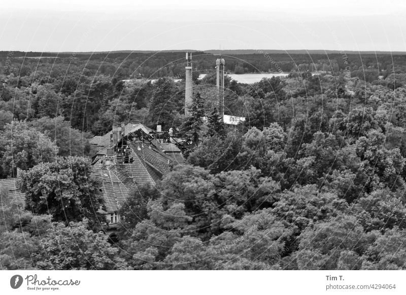 Blick von einem Turm auf eine Ruine im Wald Brandenburg s/w Schwarzweißfoto Architektur Außenaufnahme Menschenleer Tag Gebäude Haus Altbau Dach kaputt