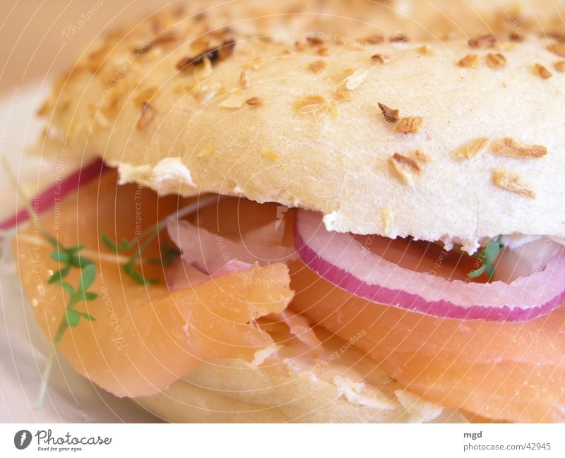 Einmal Lachs mit Zwiebeln bitte Butter lecker Ernährung Kresse Mahlzeit Lebensmittel Gesundheit Speise Bagel Fisch