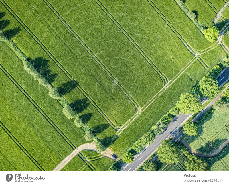 Spuren im Feld feld bäume Strukturen von oben ernte Landwirtschaft Agrar Landstraße vogelperspektive Nutzpflanze getreide ernten luftaufnahme grün natur