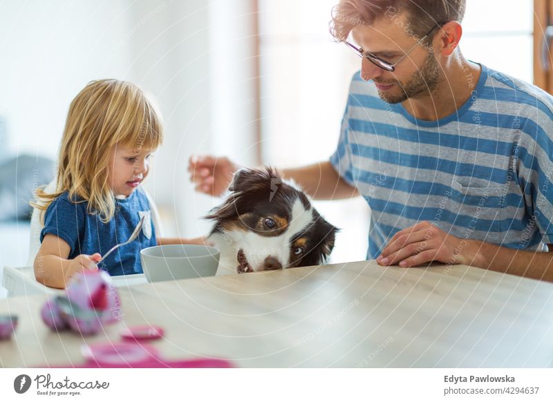 Alltag zu Hause mit Hund heimwärts Mann Papa Vater Familie Eltern Verwandte Kind Tochter Mädchen kleines Mädchen Kinder Partnerschaft Zusammensein