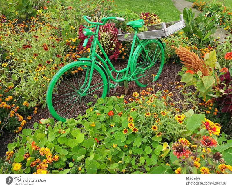 Grün lackiertes Hollandrad in einem Blumenbeet im Sommer im Vier-Jahreszeiten-Park in Oelde bei Warendorf in Westfalen im Münsterland Rad Damenrad Fahrrad