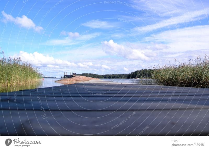 Inselsteg Boje Finnland Steg Schilfrohr Baum Sommer Strand Ferien & Urlaub & Reisen Wellen Wolken Holz Stein Felsen ruhig Abenddämmerung Natur Wasser Küste