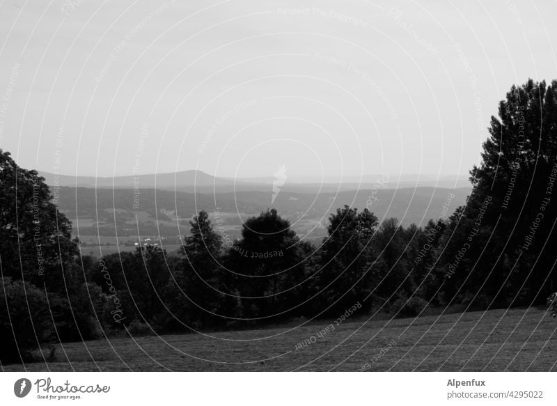 Rhönblick Natur Außenaufnahme Landschaft Menschenleer Wald Schönes Wetter Tag Himmel Hügel Wolken Wiese Schwarzweißfoto Baum Umwelt Sommer Textfreiraum oben