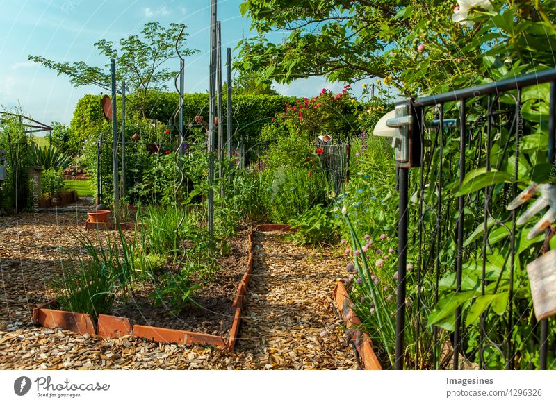 Wohngarten, privater Garten. Schöne Landschaftsgestaltung im Sommer. Hausgarten mit Blumenbeeten und Hochbeet mit Gemüse im späten Frühjahr. schön