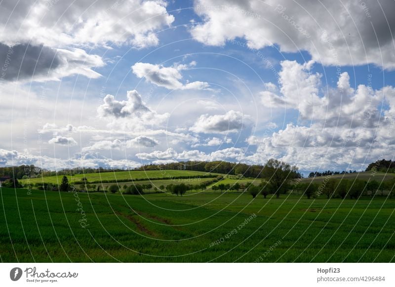 Landschaft im Frühling Natur Nahaufnahme ländlich Feld Ackerboden acre Himmel Baum Außenaufnahme blau Menschenleer Tag Farbfoto Sonnenlicht Wetter Kontrast