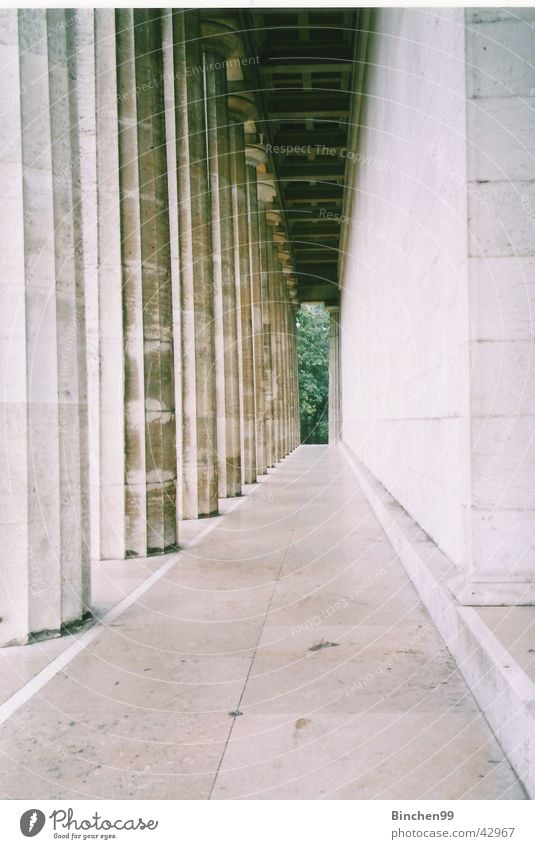 Weitblick grün Fluchtpunkt Aussicht Regensburg Walhalla Architektur Flucktpunkt Säule Stein Wege & Pfade Gang