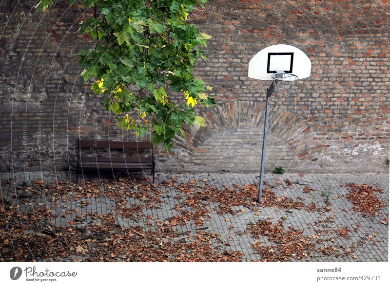 Stillleben Sport Basketballkorb Bank Ballsport Schulhof Blatt Platz Spielplatz Mauer Wand Hof Stein Metall Erholung Einsamkeit Farbfoto Außenaufnahme