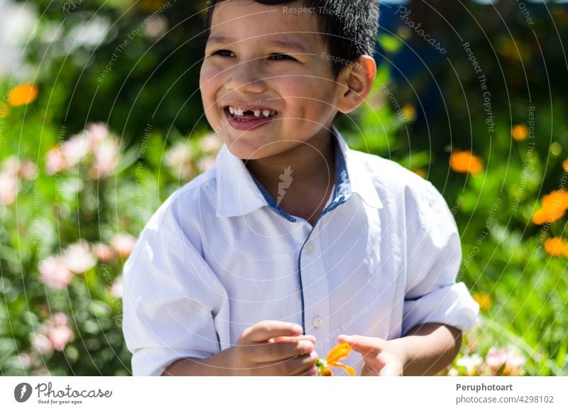 Kleiner Junge mit einem Gänseblümchen in der Hand und lachend Sommer Frühling Glück Blume im Freien niedlich wenig Lächeln Feld Kleinkind Kind Gras gelb klein