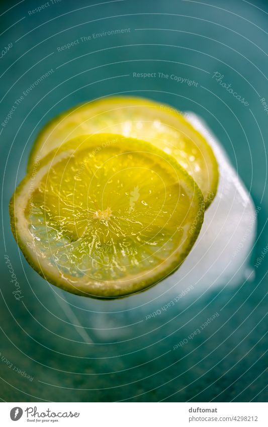 Zwei Scheiben einer Limette auf Eis Limone Zitrusfrüchte Eiswürfel kalt frisch Erfrischung sauer Getränk Cocktail Limonade Sommer Frucht Zitrone Saft Obst