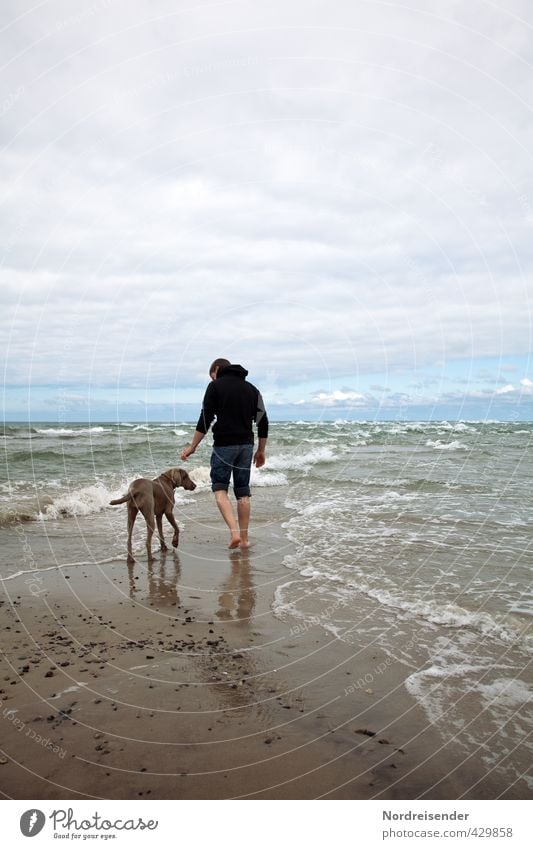 Zwei Freunde...zwei Meere Ferien & Urlaub & Reisen Ferne Freiheit Wellen Mensch Mann Erwachsene Wind Sturm Küste Strand Nordsee Ostsee Wege & Pfade Tier Hund