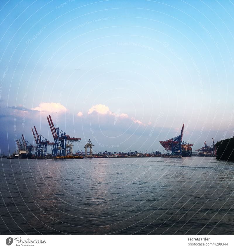 Sanfte Riesen Hamburg Hafen Himmel Dämmerung Wolken Elbe Wasser blau Kran Kräne Wirtschaft Fluss Hamburger Hafen Außenaufnahme Schifffahrt Hafenstadt