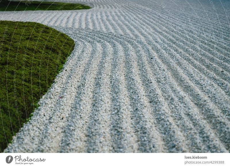 Linien in einem Zen-Garten mit geharktem Schotter in Kyoto, Japan Kies Muster Design abstrakt Baum Sport altehrwürdig Textur Natur Japanisch asiatisch