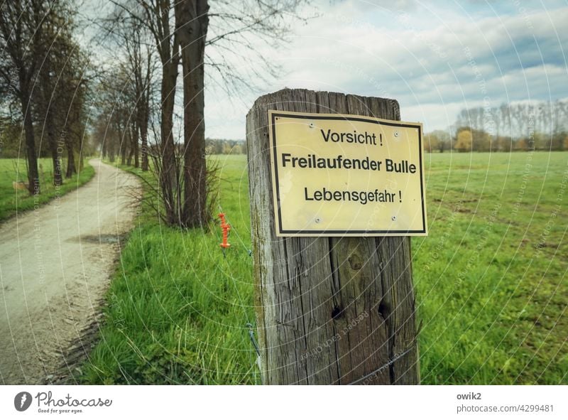 Aus dem Nachlass Schild Warnung Vorsicht WarnungWarnhinweis aufpassen umsehen Gefahr Risiko Angriff Sicherheit Schilder & Markierungen Warnschild gefährlich