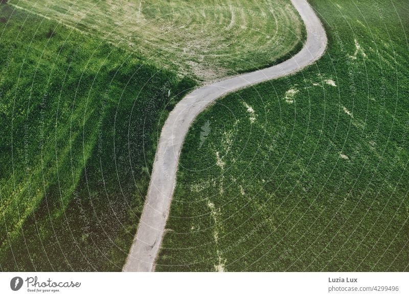 grün von oben... ein Wirtschaftsweg schlängelt sich zwischen Feldern Feldweg kurvig schlängeln winden Windungen Kurven Biegung Wiesen Spuren Grüntöne hellgrün