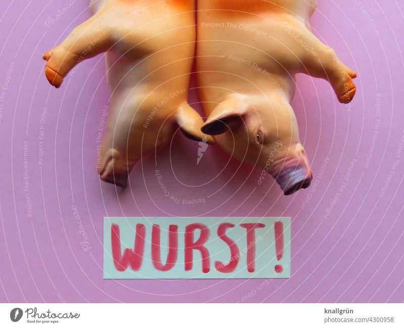 Wurst! Wurstwaren Schweinefleisch Ernährung Fleisch Lebensmittel Tier Nutztier abgehangen verarbeitung Farbfoto Menschenleer Nahaufnahme Bioprodukte