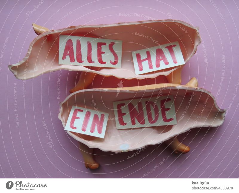 Alles hat ein Ende Leben Lebensmittel Fleisch Ernährung Gesunde Ernährung Tierschutz Bioprodukte Fleischindustrie Massentierhaltung Foodfotografie Schwein