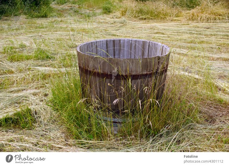 Am liebsten hätte Fotoline dieses wunderschöne alte Holzfass auf der Wiese einfach mitgenommen. In ihrem Garten würde es sich auch sehr gut machen. Fass