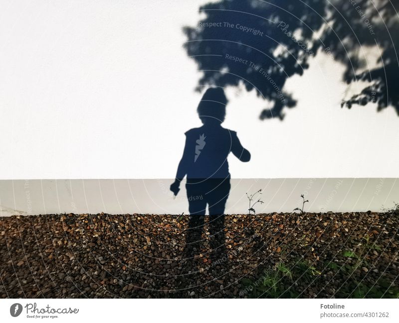 Eigentlich wollte Fotoline einfach nur den Schatten der Blümchen an der Mauer fotografieren. Aber wie sie sich drehte und wendete, sie war immer auf dem Bild mit drauf.