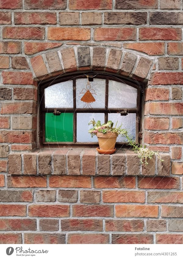 Ein außergewöhnliches Fenster mit liebevollen Details erregte Fotolines Aufmerksamkeit. Dieser kleine Engel, der Blumentopf und die einzelne grüne Scheibe sind schon eine tolle Kombination.