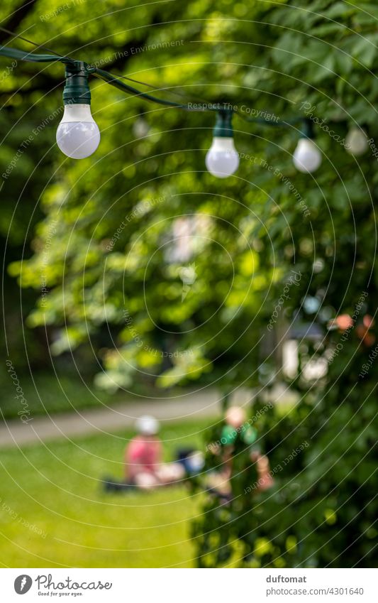 Glühbirnen im Garten Gartenbeleuchtung grün draußen Park Café Rasen Sommer Licht Natur Außenaufnahme Pflanze Frühling Schönes Wetter Unschärfe Kabel Draht