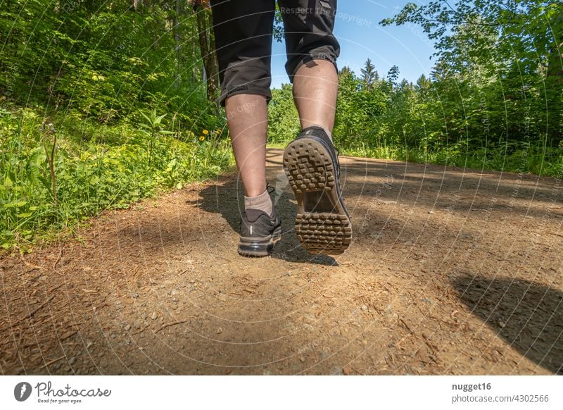 wandernde Frau auf einem Waldweg Travel Reise reisen Natur Landschaft Berge u. Gebirge Ferien & Urlaub & Reisen Außenaufnahme Farbfoto Tourismus Reisefotografie