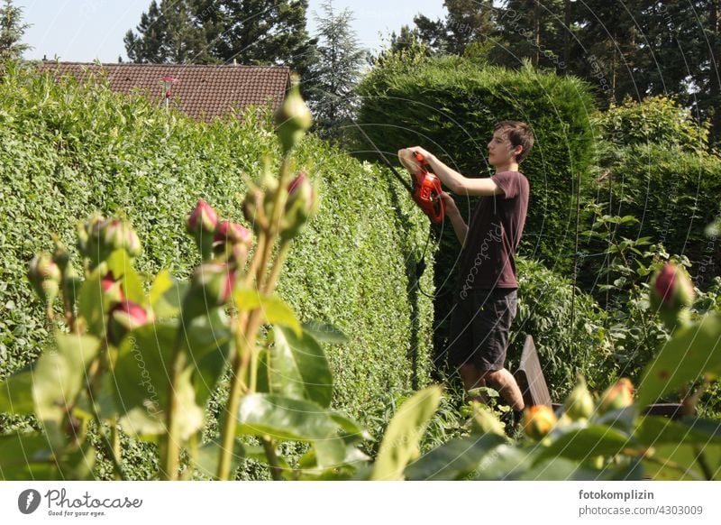 Jugendlicher beim Heckenschneiden Heckenschnitt Garten Sträucher Heckenpflanze Heckenschere Hecken schneiden Motorsäge Ziergarten Teenager junger Mann