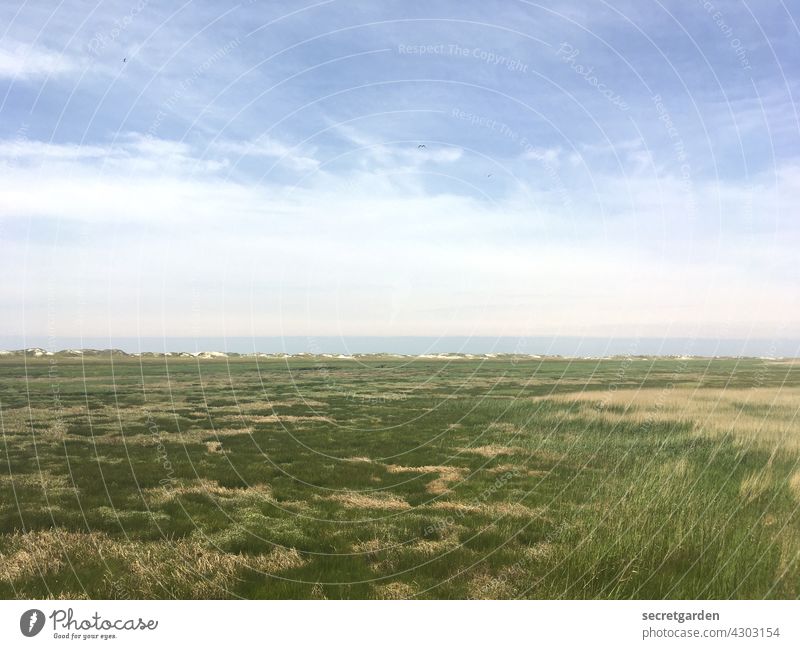 Heute nichts passiert - auch schön. Weite Meer grün Natur leer Gras Horizont Strand Ferien & Urlaub & Reisen Küste Sehnsucht Himmel Landschaft Erholung Wasser