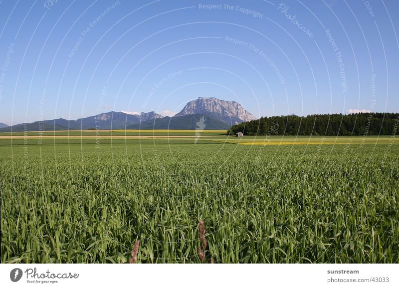 Traunstein-Panorama Panorama (Aussicht) Salzkammergut Berge u. Gebirge groß