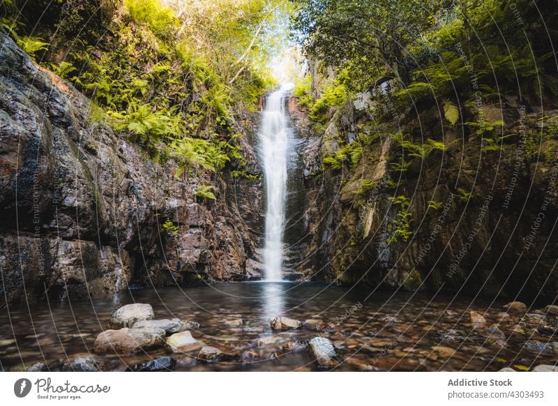 Nahaufnahme eines Wasserfalls inmitten eines Waldes natürlich Natur Fluss grün reisen im Freien malerisch Landschaft strömen Felsen Sommer schön Hintergrund