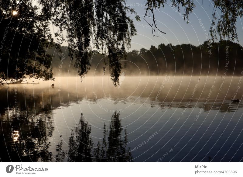 See bei Sonnenaufgang mit aufsteigendem Nebel Morgen aufsteigender Nebel morgensonne morgenlicht Morgendämmerung Sonnenlicht aufgehende Sonne frühaufsteher