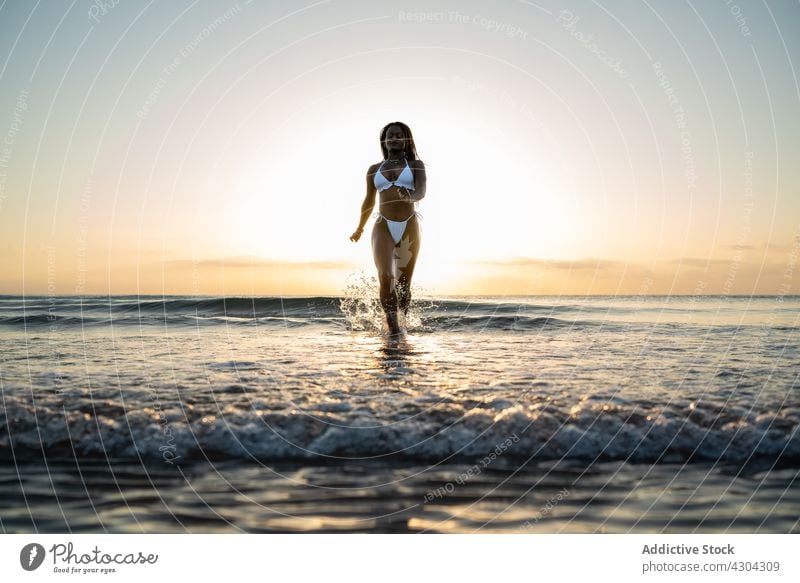 Schwarze Frau mit Zöpfen am Strand Bikini Sommer schwarz Afrikanisch Urlaub Zopf schön MEER jung Porträt Glück attraktiv Person Feiertag Afro-Look Hintergrund