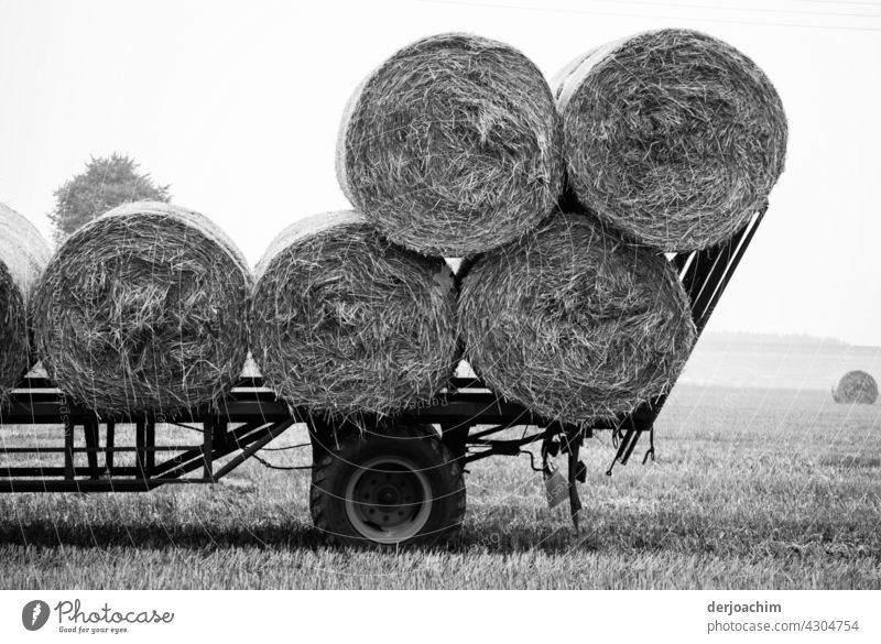 Erntezeit. Ein paar Strohballen  sind schon auf den Wagen geladen. Das Feld ist abgeerntet.  . Landwirtschaft Himmel Herbst Heuballen Landschaft Außenaufnahme