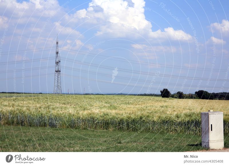 Energiefeld Landwirtschaft Landschaft blauer Himmel Natur Ackerbau Agrarwirtschaft Feld ländlich Wiese Sommer Schönes Wetter Hochspannungsleitung Getreidefeld