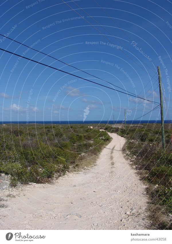 Holper-Holper-Strasse Ferien & Urlaub & Reisen Ferne Freiheit Sommer Sommerurlaub Sonne Meer Insel Kabel Erde Sand Sträucher Wüste Straße Wege & Pfade Stein