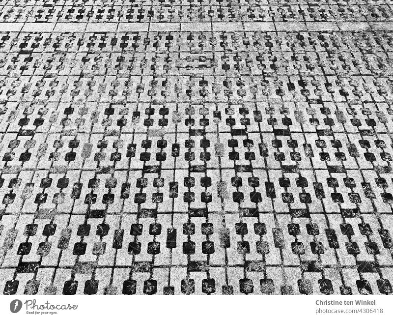 Eine mit Gittersteinen gepflasterte Fläche, der Regen kann versickern Pflastersteine Bodenbelag Wege & Pfade grau Strukturen & Formen Parkplatz