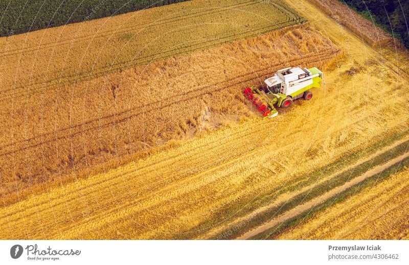 Ein moderner Mähdrescher arbeitet auf einem Weizenfeld, Luftaufnahme Business Antenne Sommer Natur Industrie Technik & Technologie reif Ernte Feld Ackerbau