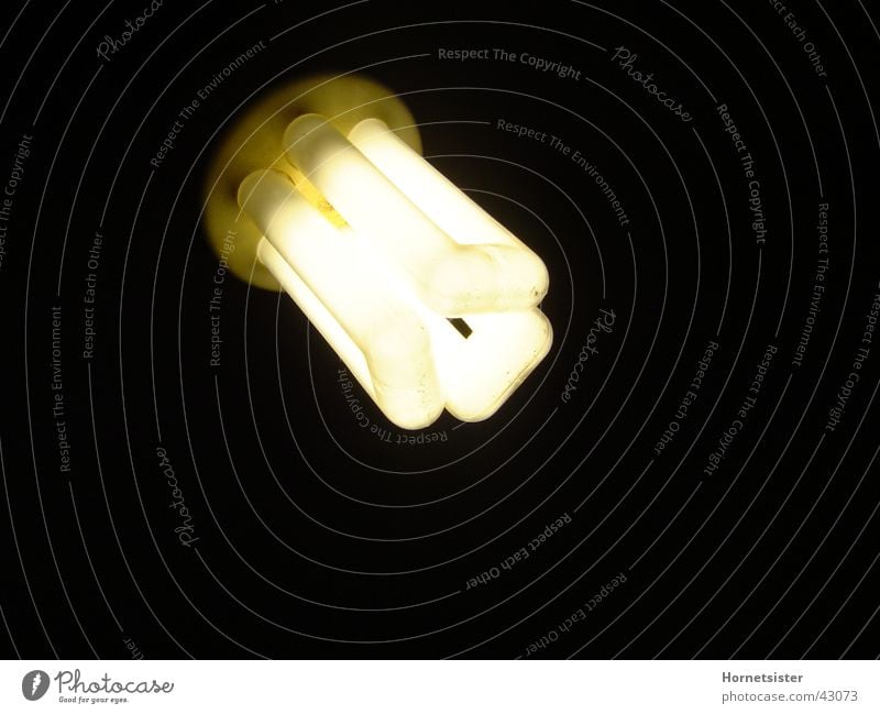 HalogenBirne1 Licht Lampe Häusliches Leben Halogenbirne