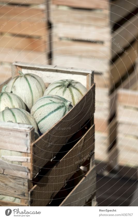 Ne Ladung Melonen Lebensmittel Frucht Ernährung Verpackung Holz frisch süß braun grün Cantaloupe Melone Honigmelone Obstkiste Holzkiste Ordnung Stapel Versand