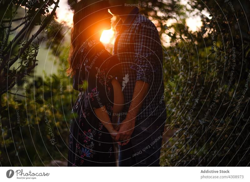 Liebender Mann berührt den Bauch einer schwangeren Frau im Licht des Sonnenuntergangs Paar Zusammensein Glück Natur Partnerschaft erwarten romantisch Zuneigung