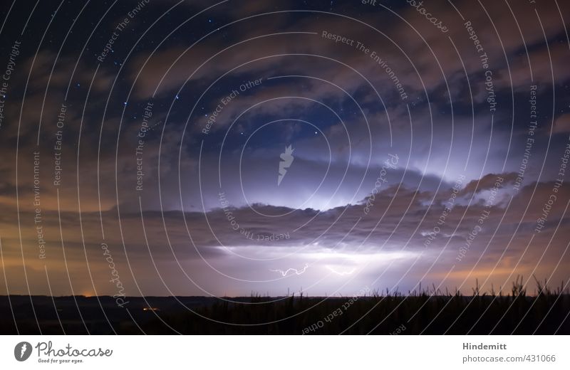 Zum Donnerwetter noch mal! Himmel Wolken Stern Sommer schlechtes Wetter Unwetter Gewitter Blitze Pflanze Mais leuchten außergewöhnlich dunkel Ferne blau violett