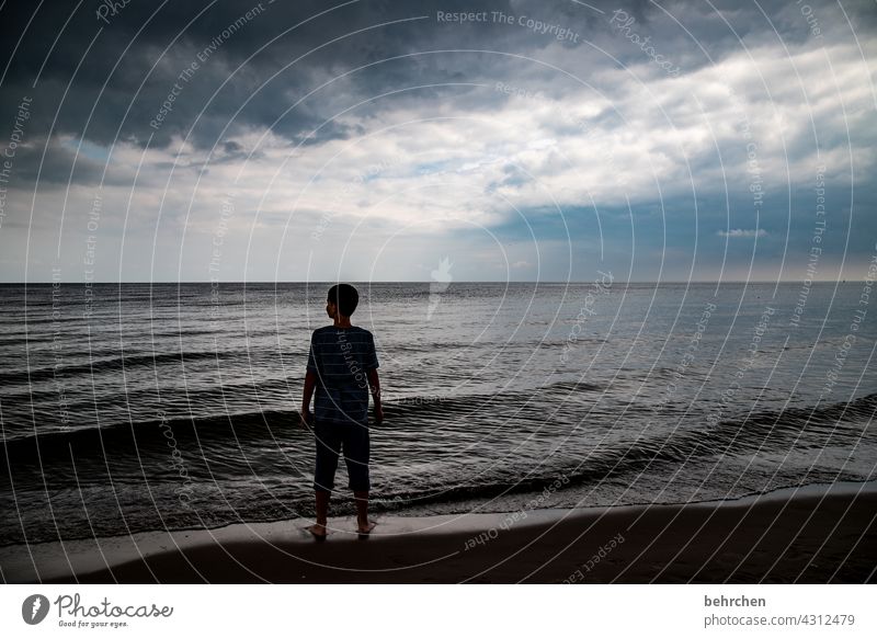 und vor mir nur das meer dramatisch Usedom Idylle Wasser Wellen Himmel Meer Ferien & Urlaub & Reisen Ostsee Strand Außenaufnahme Landschaft Sehnsucht Fernweh