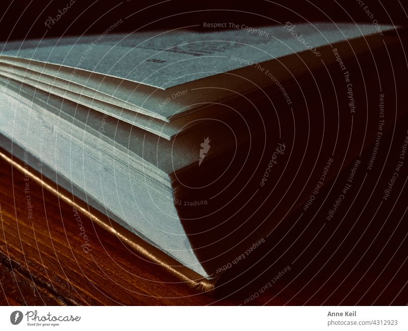 Liegendes aufgeklapptes Buch mit Goldband in Licht und Schatten. Buchseite Papier Literatur lesen schatten Bildung Lesestoff Information Bücher lernen