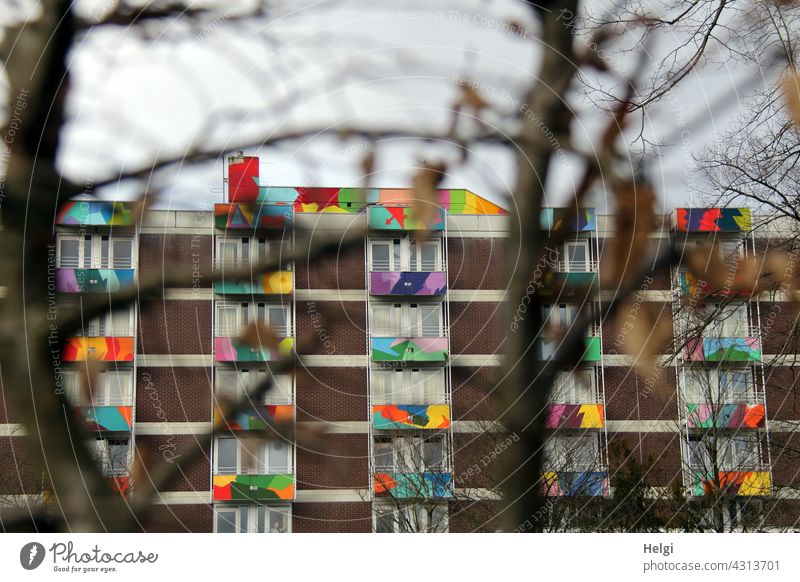 das Leben ist bunt - Fassade mit bunt bemalten Balkonen hinter kahlen Zweigen Haus Gebäude Fenster farbig Baum starke Tiefenschärfe Architektur Außenaufnahme